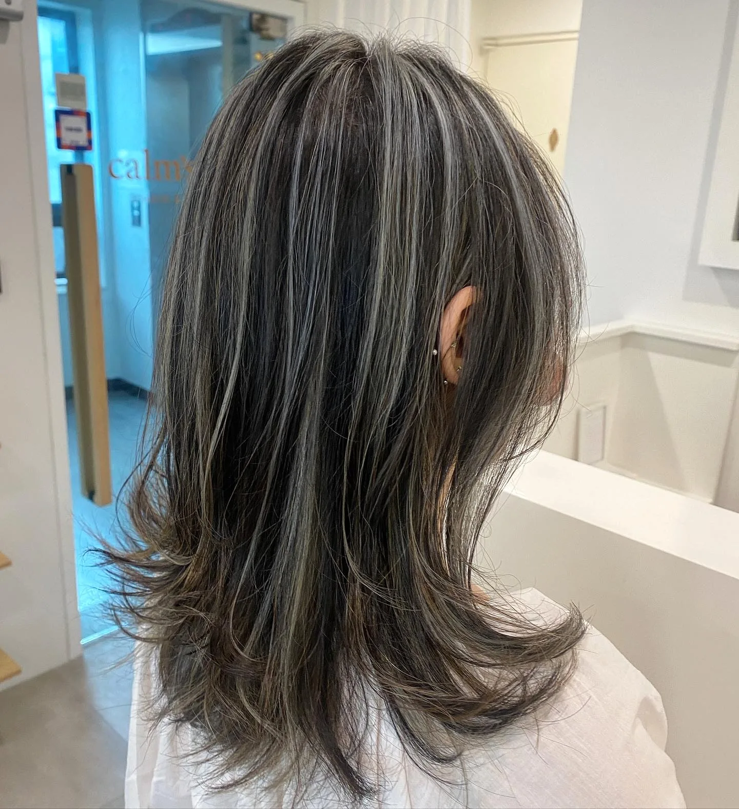 Silver Ash Highlights Korean Hair Color