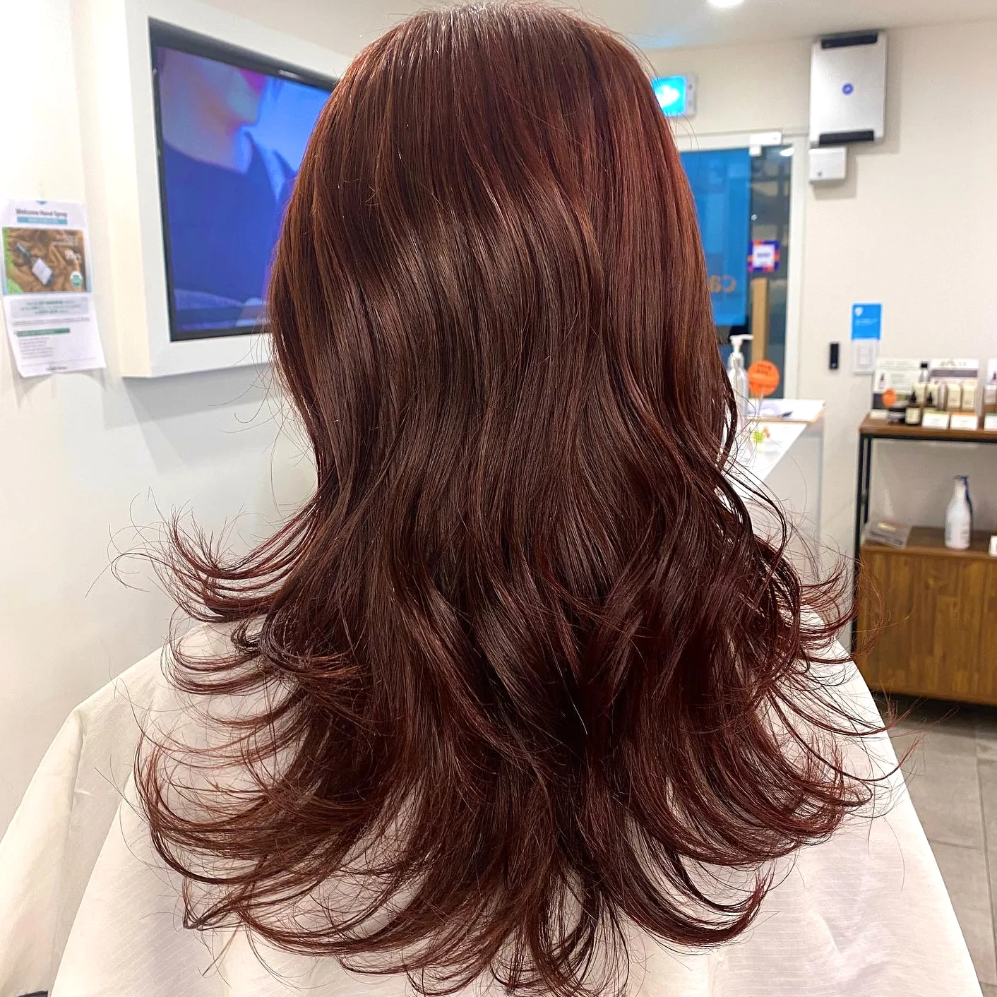 chic winter hair colors Seoul - Style 4 at Korea Hair Salon Seoul