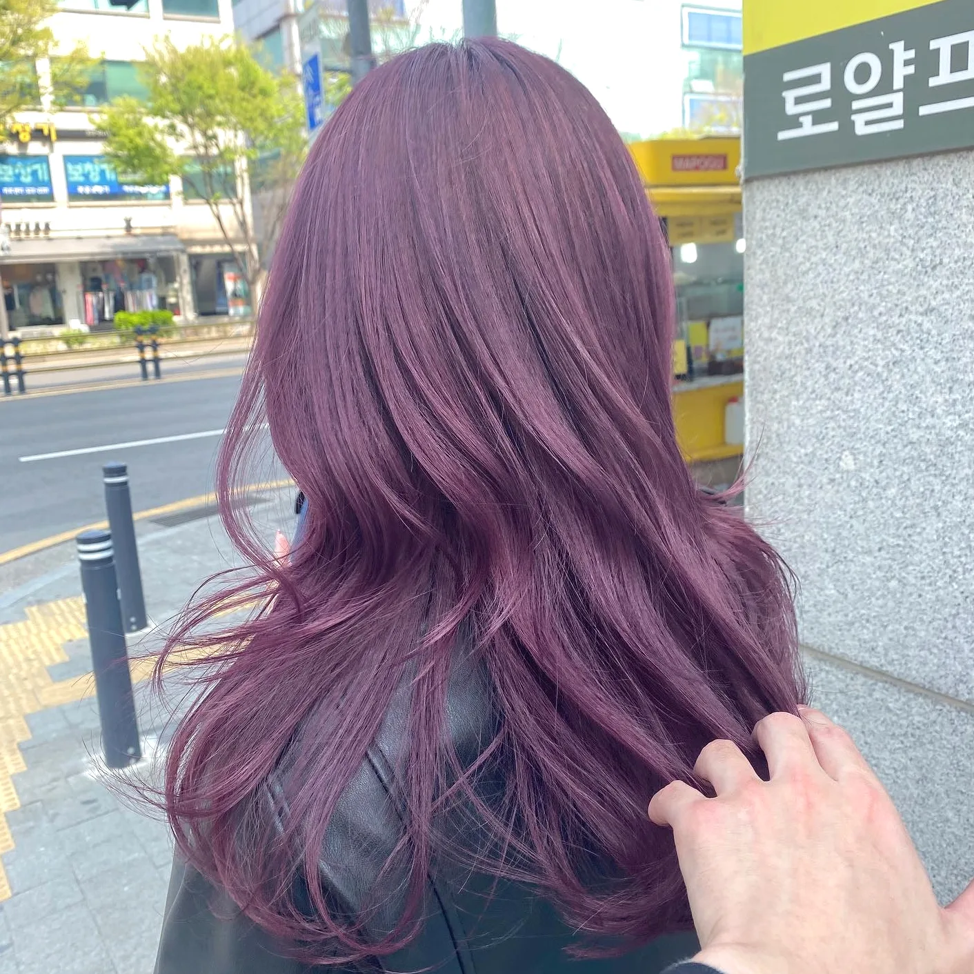 face-framing highlights 2026 - Style 2 at Korea Hair Salon Seoul